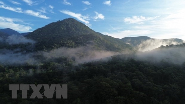 Eco-tourism development linked with biodiversity conservation under discussion