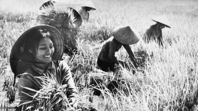 Bút ký “Những người đàn bà làng tôi”