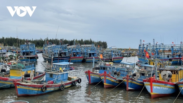 EC inspectors to work with Ba Ria - Vung Tau on combating IUU fishing