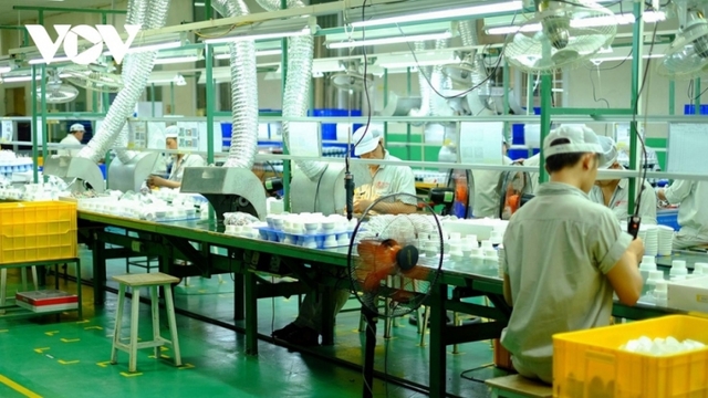 FDI sector affirms key role in Vietnamese economy