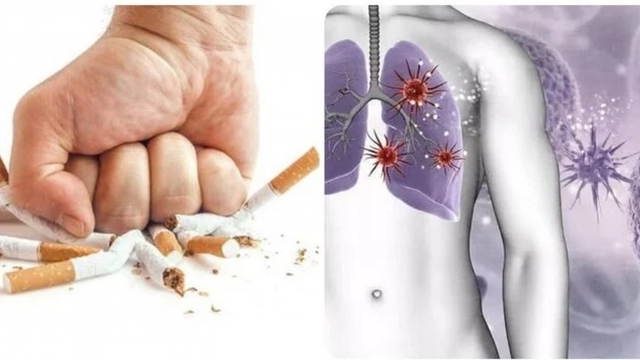 Điều gì xảy ra với cơ thể khi bạn bỏ thuốc lá?