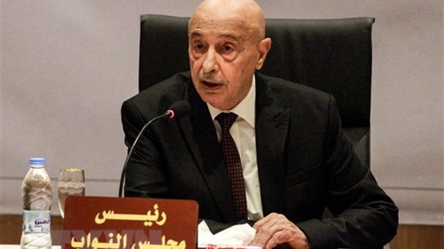 Libya xúc tiến thành lập chính phủ đoàn kết dân tộc và tổ chức bầu cử