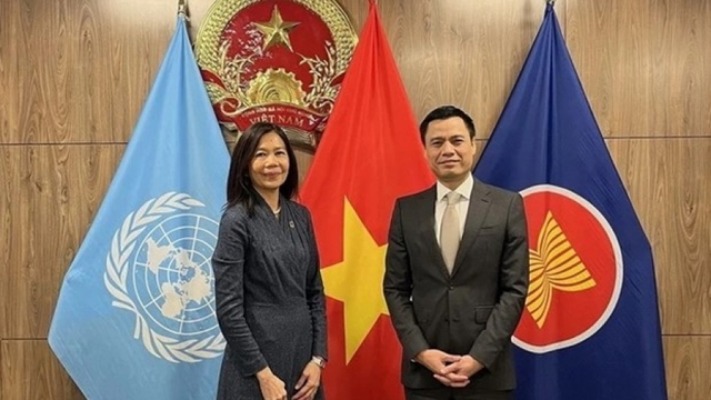Countries see Vietnam as model in implementing SDGs: UN official