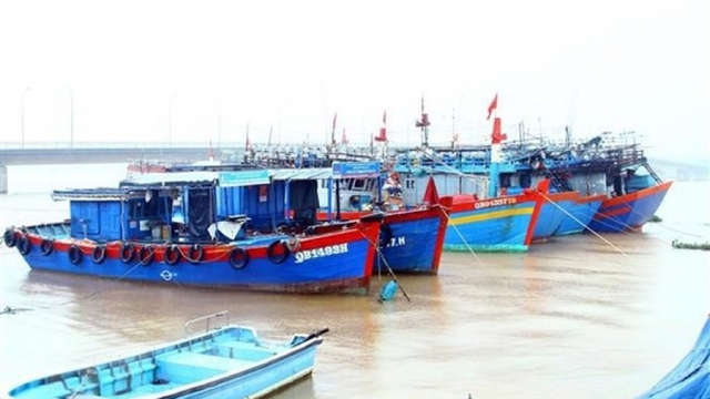 Quang Binh intensifies measures against IUU fishing