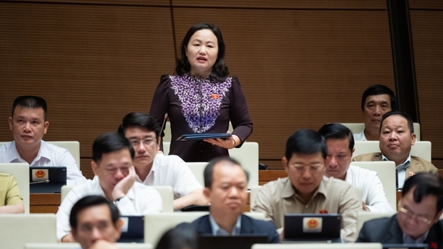 ĐBQH: "Đừng biến dự án đầu tư PPP thành đầu tư công hay đầu tư tư nhân"