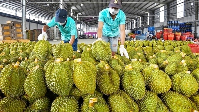 What are major Vietnamese farm products for export in 2024?