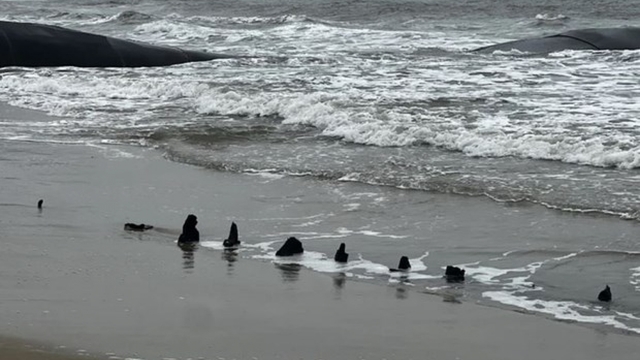Quang Nam: suspected ancient shipwreck vanishes in sea