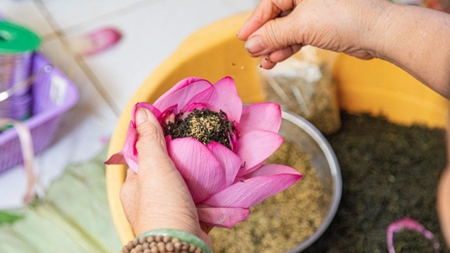 Discovering lotus tea making art of Hanoians