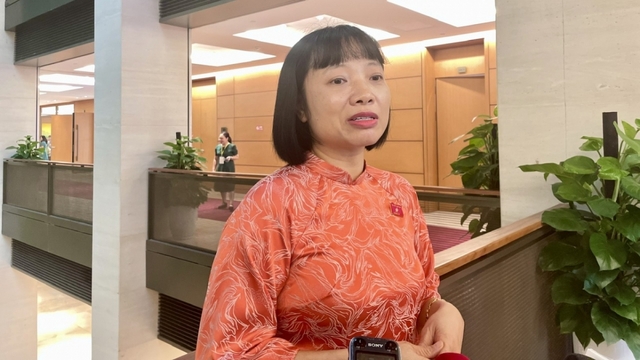 Cần thí điểm Khu thương mại tự do ở Đà Nẵng để nhân rộng trong cả nước