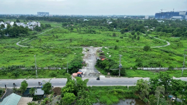 26ha đất làm Depot Metro TP.HCM bị bỏ hoang, thành nơi chăn thả gia súc