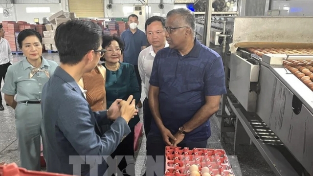 Local fresh agricultural products have opportunities to enter Singaporean market