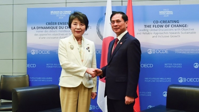 Foreign Minister Bui Thanh Son visits Japan