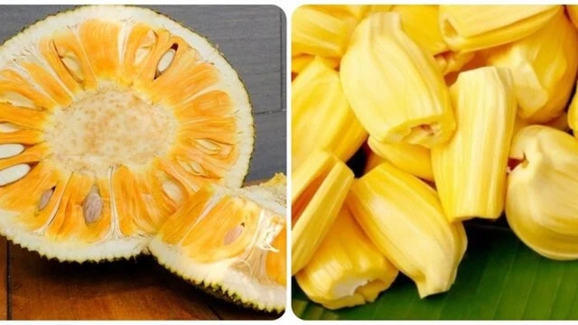 Những ai nên hạn chế ăn mít chín?