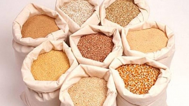 China emerges as largest importer of Vietnamese animal feed and raw materials