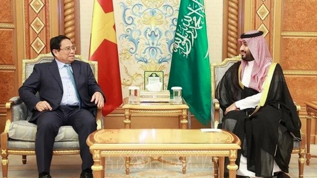 Vietnamese PM holds talks with Saudi Arabian counterpart