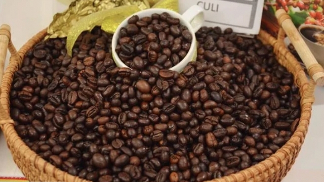 Vietnam’s coffee exports exceed US$5 billion in 2023-2024 crop year