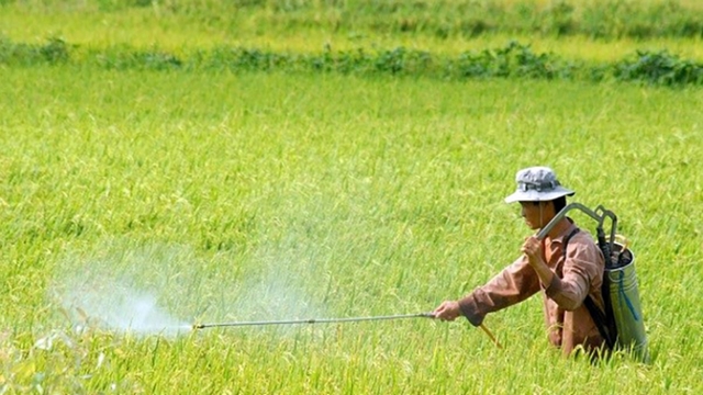 Tạo không gian phát triển kinh tế nông nghiệp: Quẩn quanh tư tưởng “chợ chiều”