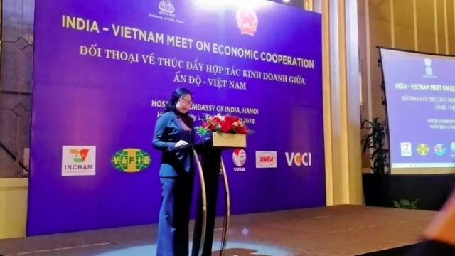 Vietnam-India bilateral trade likely to exceed US$15 billion this year