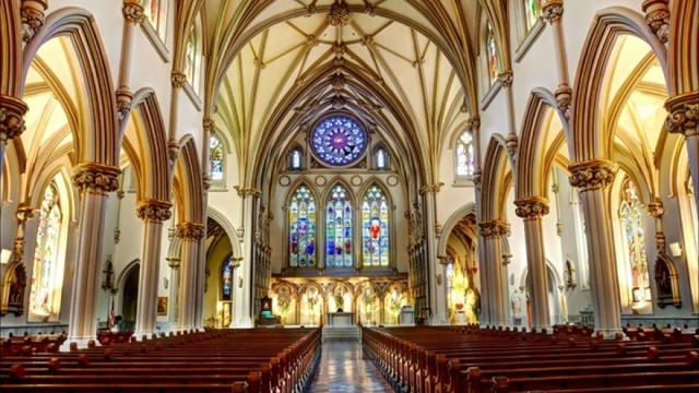 Vietnam National Symphony Orchestra to perform Christmas concert for charity