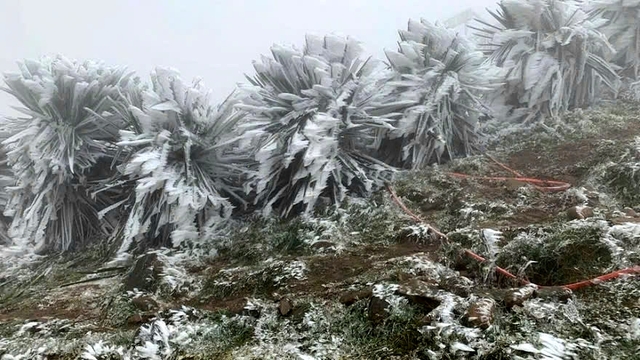 More strong cold spells likely to grip Vietnam in coming two months