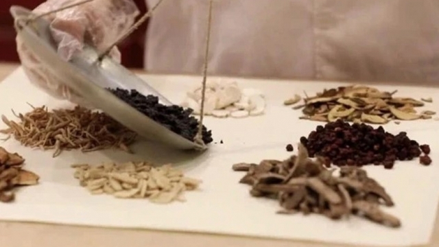 PM calls for development of traditional medicine products to serve tourists