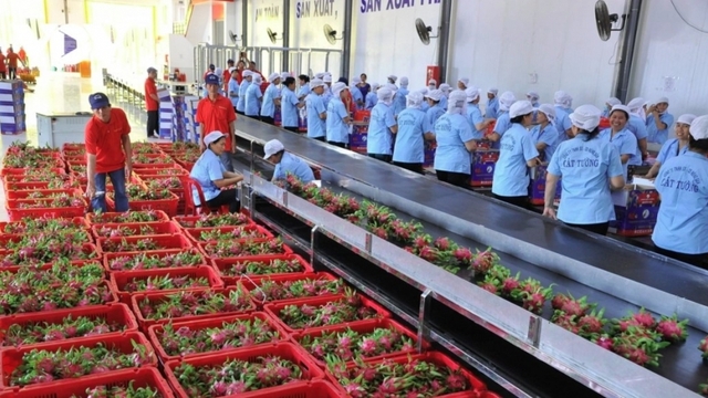 Fruit and vegetable exports bring in over US$400 million in January