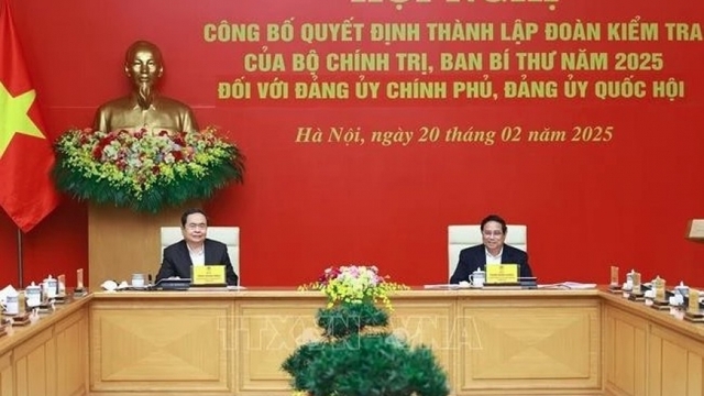 Delegations established to inspect Government, NA’s Party Committees