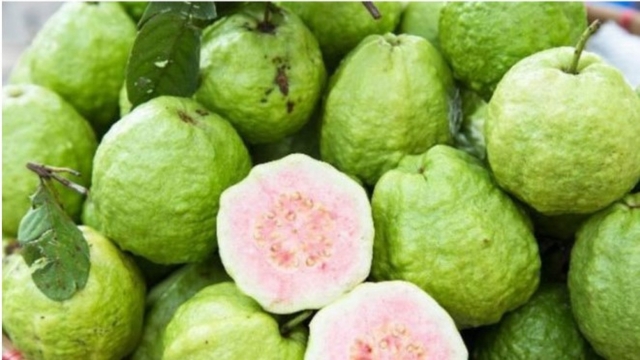 Loại quả là kho vitamin C, chăm ăn khỏi lo gặp bác sĩ