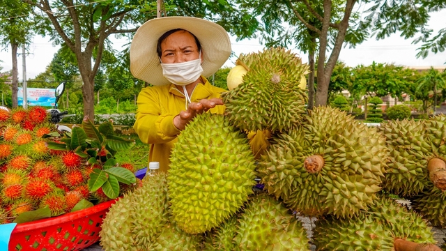 Xuất khẩu rau quả kỳ vọng phục hồi trong nửa cuối năm 2025