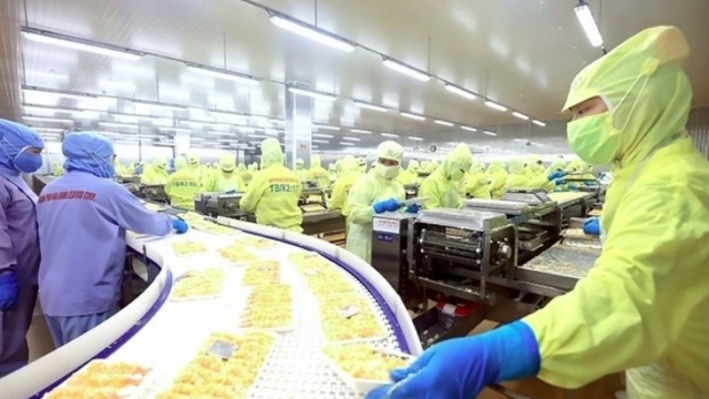Shrimp exports grow in the first month of 2025