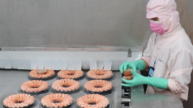Vietnam’s shrimp exports maintain steady growth