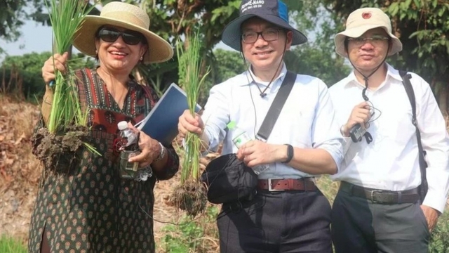 World Bank pledges continued support for Vietnam’s high-quality, low-emission rice project