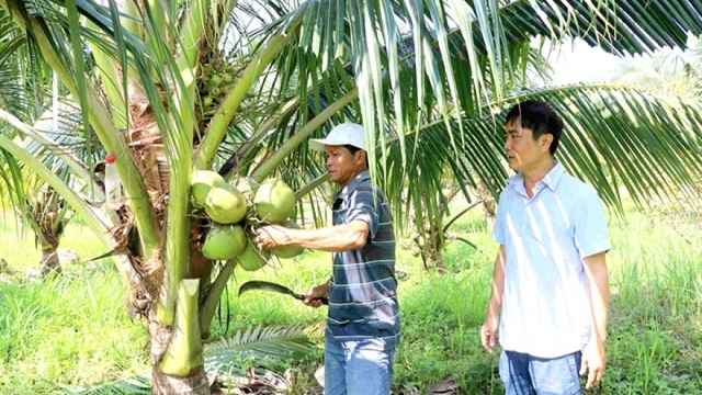 Northern Europe is potential market for Vietnamese organic products