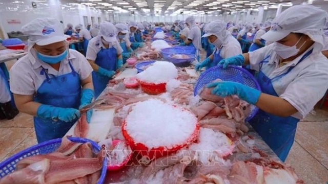 Agro-forestry-aquatic product exports increase over 13% in first quarter