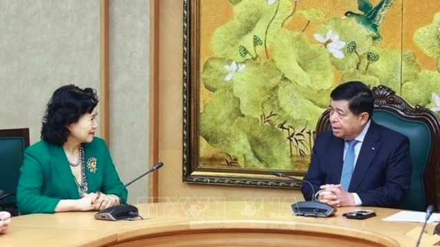 Chinese expert advises Vietnam on free trade zone development