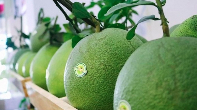 Fresh Vietnamese pomelo hits Lotte Mart shelves in RoK