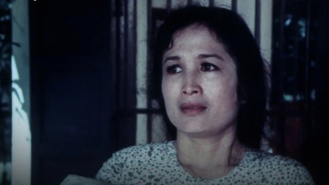 Iconic war films in Vietnam to be screened for free at DANAFF III