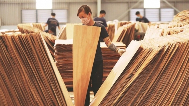 Breakthrough measures needed for US$18 billion wood export goal