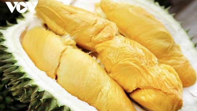 Durian exports plunge as agriculture sector works to retain market share