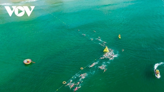 Da Nang promotes tourism potential to Middle East market