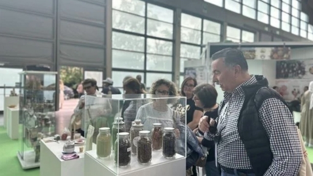 Vietnamese fruits promoted at Italy’s Macfrut 2025