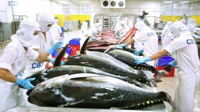 EC postpones Vietnam’s seafood inspection until year end