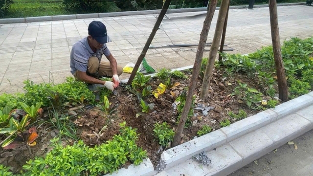 Khắc phục các điểm ùn nước sau mưa trên hè phố Lê Duẩn sau phản ánh trên VOV