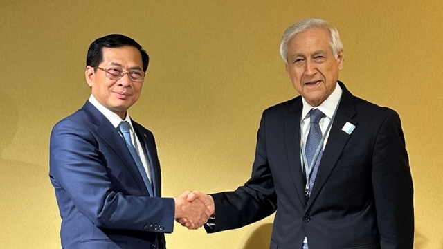 Phó Thủ tướng Bùi Thanh Sơn tiếp Đặc phái viên của Tổng thống Chile về Đại dương