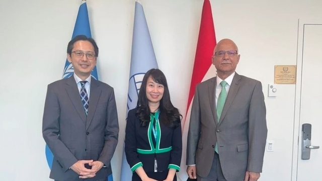 Vietnam pledges more contributions to G77 cooperation at UN: Ambassador