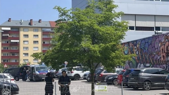 State President extends condolences to Austria over deadly shooting