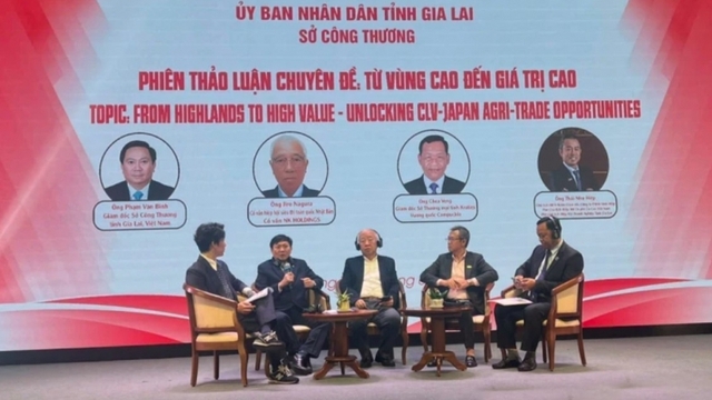 Gia Lai eyes exporting farm produce to Japan, ASEAN