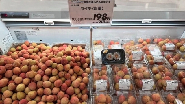 Vietnam Goods Week opens in Japan’s Saitama prefecture