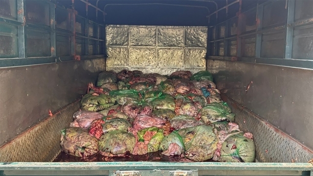 Nghệ An phát hiện, xử lý 1,3 tấn nội tạng động vật không rõ nguồn gốc xuất xứ
