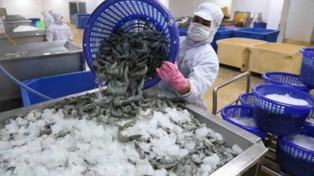 US issues preliminary decision on anti-dumping tariffs for Vietnamese shrimp